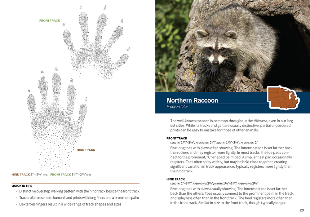 Animal Tracks of the Midwest Field Guide AdventureKEEN Shop