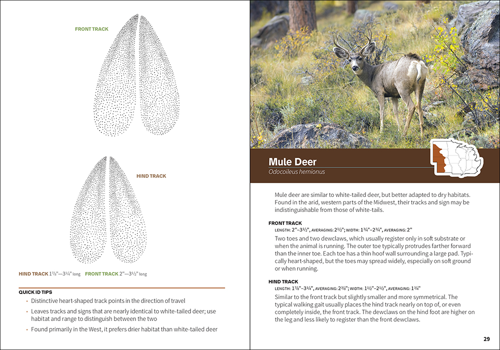 Animal Tracks of the Midwest Field Guide AdventureKEEN Shop