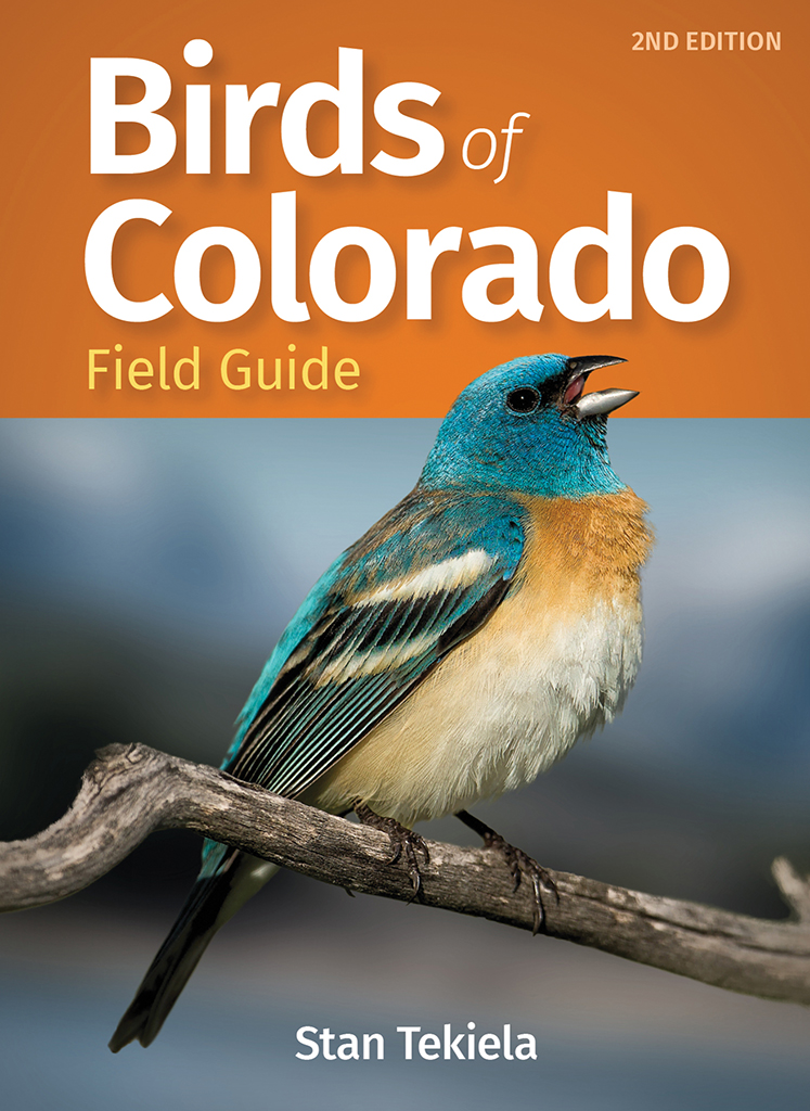 Birds of Colorado Field Guide AdventureKEEN Shop