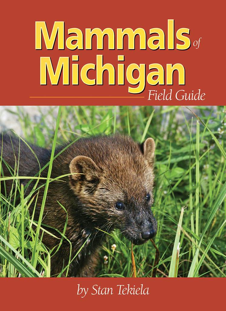 Mammals of Michigan Field Guide - AdventureKEEN Shop