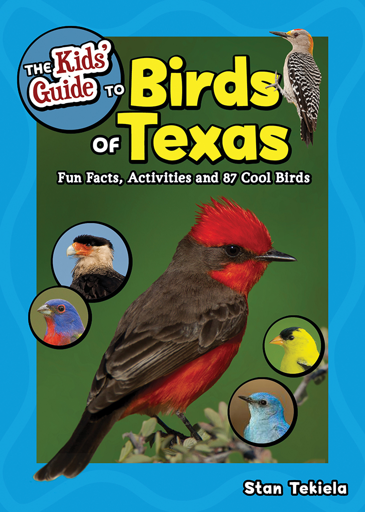 The Kids' Guide to Birds of Texas - AdventureKEEN Shop