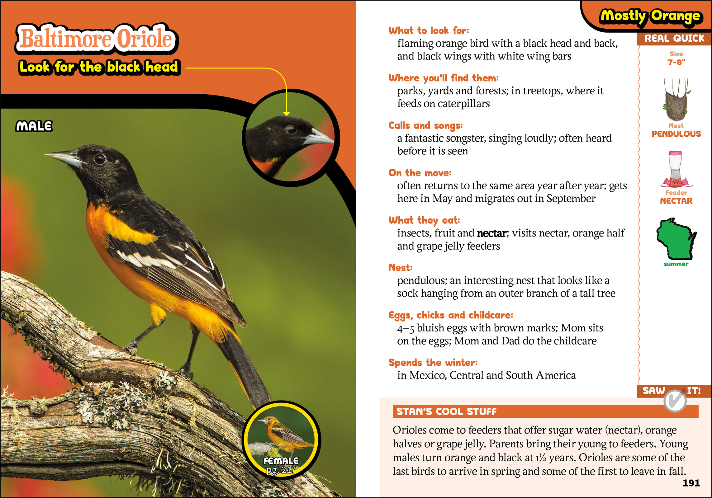 The Kids' Guide to Birds of Wisconsin AdventureKEEN Shop