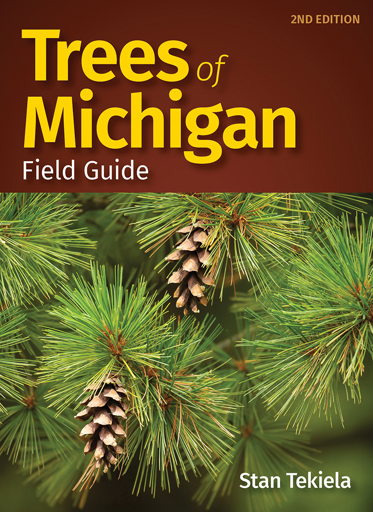 Trees of Michigan Field Guide AdventureKEEN Shop
