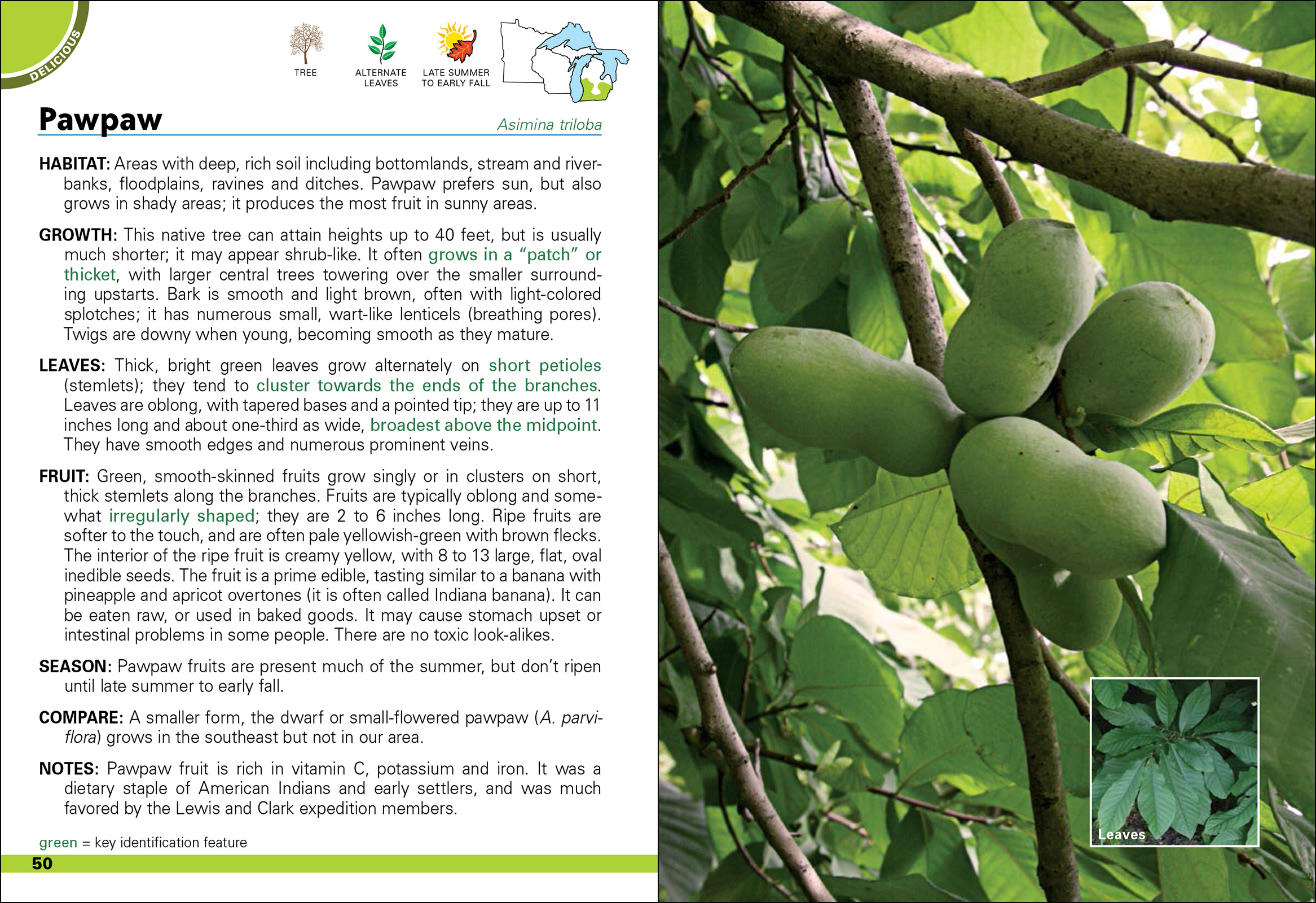 Wild Berries & Fruits Field Guide of Minnesota, Wisconsin & Michigan