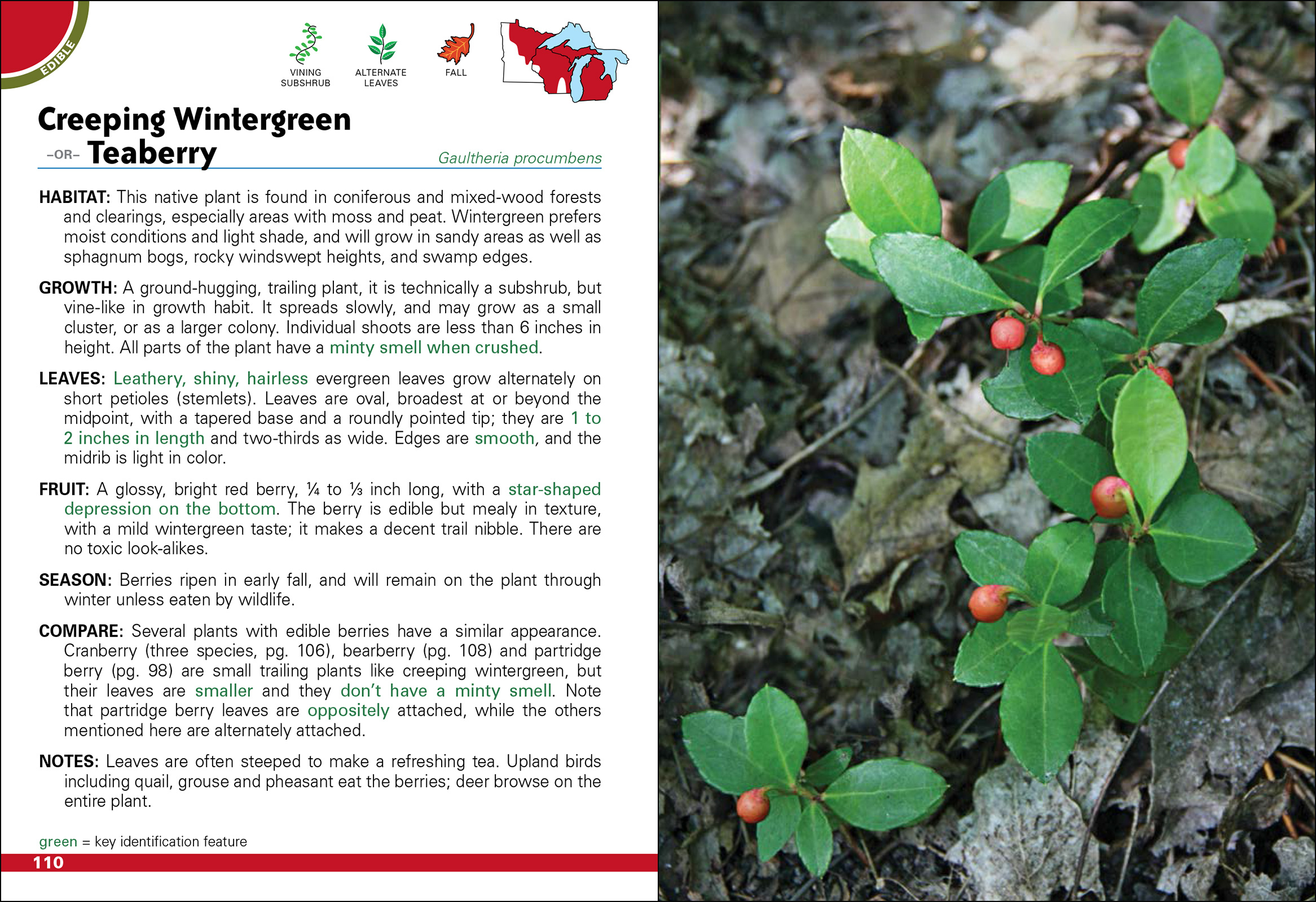 Wild Berries & Fruits Field Guide of Minnesota, Wisconsin & Michigan