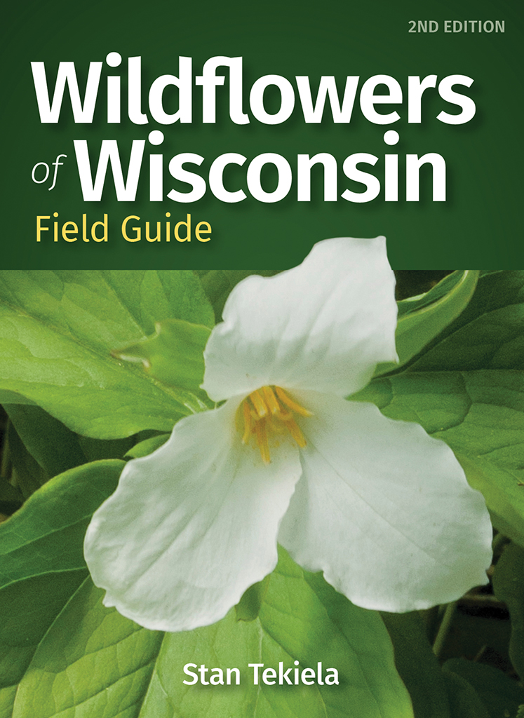 Wildflowers of Wisconsin Field Guide - AdventureKEEN Shop